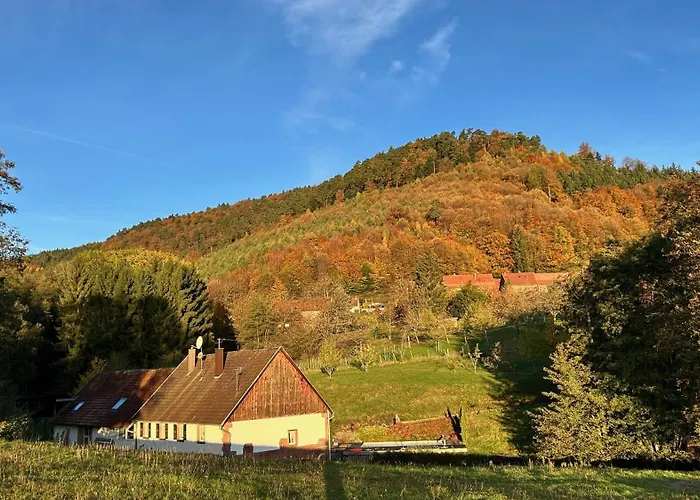 Casa Mypi شقة Reinhardsmunster